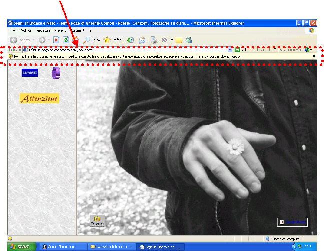 Figura 4 - Il Browser non permette la 
visualizzazione di contenuto attivo